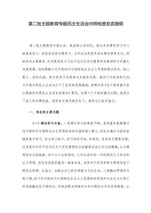 第二批主题教育专题民主生活会对照检查发言提纲.docx