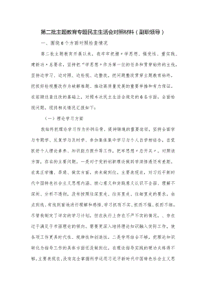 第二批主题教育专题民主生活会对照材料（副职领导）.docx