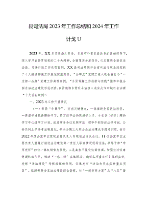 县司法局2023年工作总结和2024年工作计划(20231229).docx