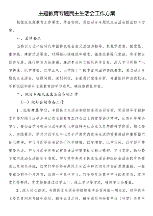 主题教育专题民主生活会工作方案.docx