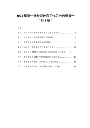 2024年第一批专题教育工作总结自查报告（共8篇）.docx