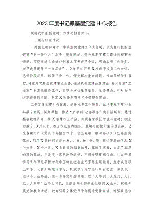 2023年度书记抓基层党建工作报告.docx
