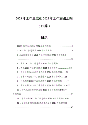 2023年工作总结和2024年工作思路汇编（13篇）.docx