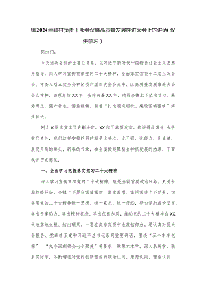 镇2024年镇村负责干部会议暨高质量发展推进大会上的讲话.docx