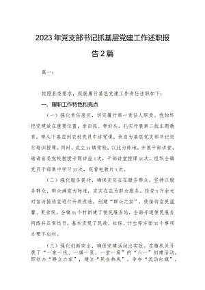 2023年党支部书记抓基层党建工作述职报告2篇.docx