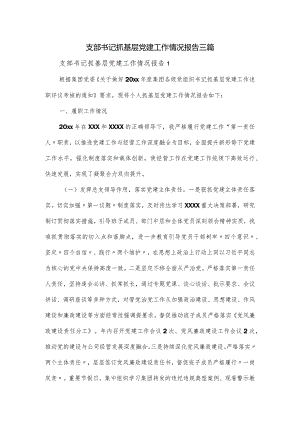 支部书记抓基层党建工作情况报告三篇.docx