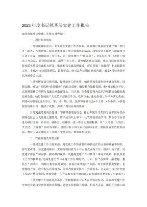 2023年度书记抓基层党建工作报告.docx