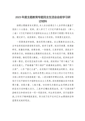 2023年度主题教育专题民主生活会会前学习研讨发言材料（精选两篇合辑）.docx