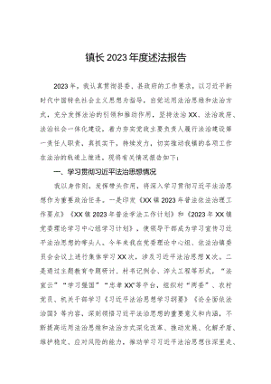 镇长2023年度述法报告三篇.docx