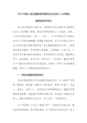 2023年第二批主题教育专题民主生活会个人对照检查发言材料范文.docx