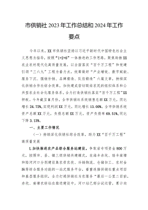 市供销社2023年工作总结和2024年工作要点.docx