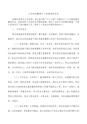 公司纪检整顿个人检查剖析发言.docx