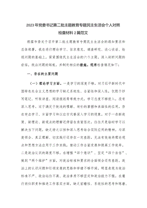 2023年党委书记第二批主题教育专题民主生活会个人对照检查材料2篇范文.docx