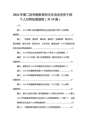 2024年第二批专题教育民主生活会党员干部个人对照检查提纲（共15篇）.docx