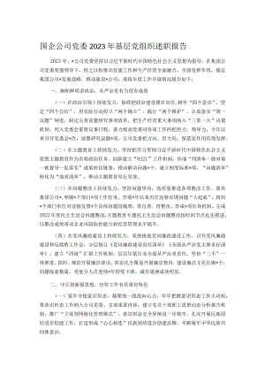 国企公司党委2023年基层党组织述职报告.docx