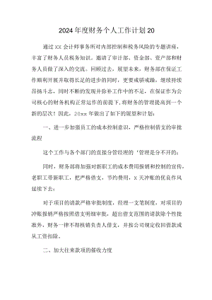 2024年度财务个人工作计划20.docx