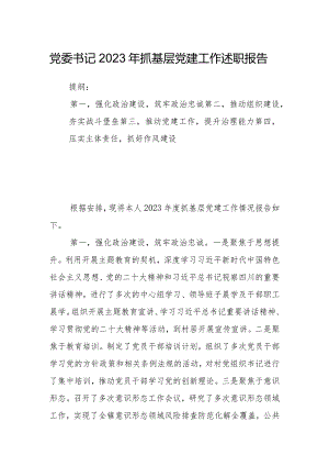 党委书记2023年抓基层党建工作述职报告.docx