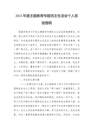 2023年度主题教育专题民主生活会个人发言提纲.docx