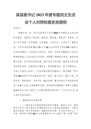 某县委书记2023年度专题民主生活会个人对照检查发言提纲.docx