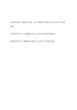 2023年度第二批凝心铸魂筑牢根本、锤炼品格强化忠诚、实干担当促进发展、践行宗旨为民造福、廉洁奉公树立新风专题民主生活会召开情况报告3篇.docx