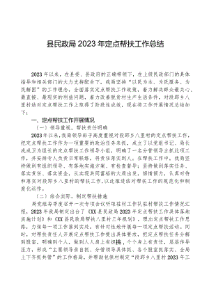县民政局2023年定点帮扶工作总结.docx