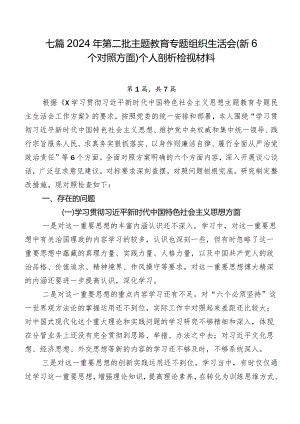 七篇2024年第二批专题教育专题组织生活会（新6个对照方面）个人剖析检视材料.docx