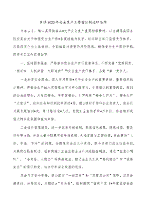 乡镇2023年安全生产工作责任制述职总结.docx