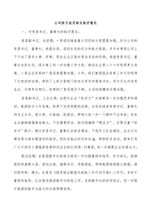 公司班子成员相互批评意见.docx