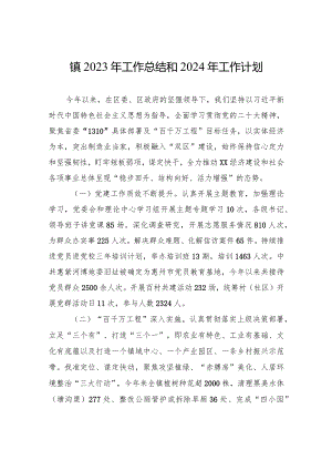 镇2023年工作总结和2024年工作计划(20231226).docx