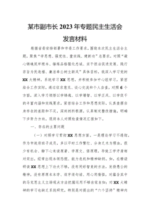 某市副市长2023年专题民主生活会发言材料.docx