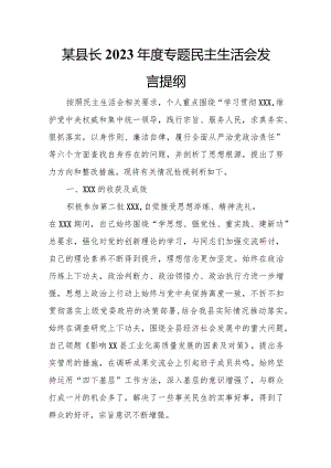 某县长2023年度专题民主生活会发言提纲.docx