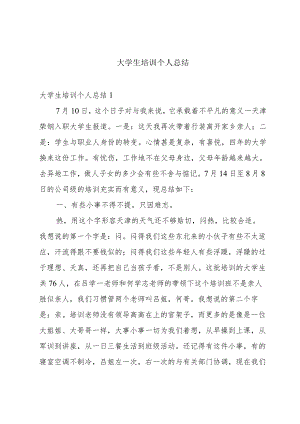 大学生培训个人总结.docx