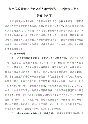 市局党组书记2023年专题民主生活会对照发言材料（新6个方面）.docx