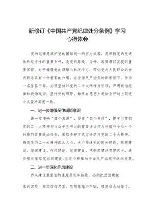 纪检干部学习2024新修订中国共产党纪律处分条例心得体会五篇.docx