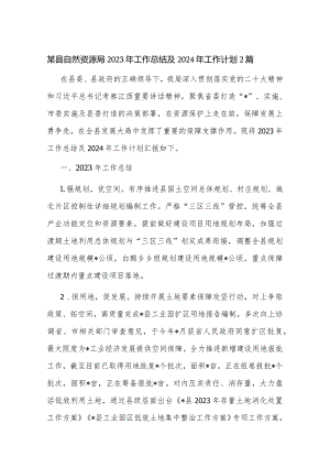 某县自然资源局2023年工作总结及2024年工作计划2篇.docx