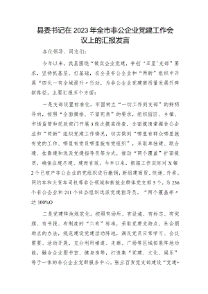 县委书记在2023年全市非公企业党建工作会议上的汇报发言.docx