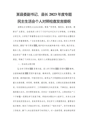 某县委副书记、县长2023年度专题民主生活会个人对照检查发言提纲.docx
