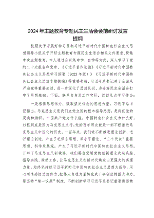 2024年主题教育专题民主生活会党员领导干部对照检查材料及发言提纲（精选两篇合辑）.docx