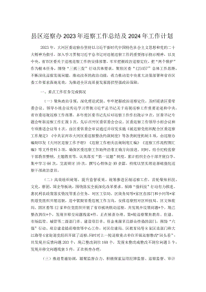 县区巡察办2023年巡察工作总结及2024年工作计划.docx