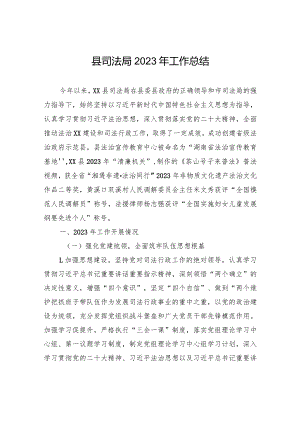 县司法局2023年工作总结(20240102).docx