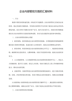 企业内部管控方面的汇报材料.docx