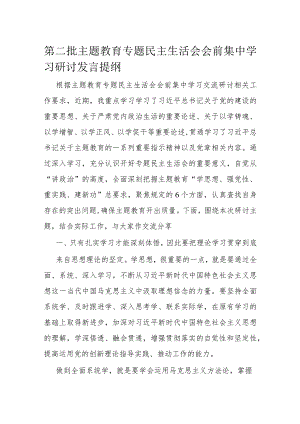 第二批主题教育专题民主生活会会前集中学习研讨发言提纲.docx