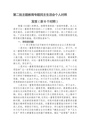2023年主题教育民主生活会个人对照检查材料（践行宗旨等6个方面） .docx