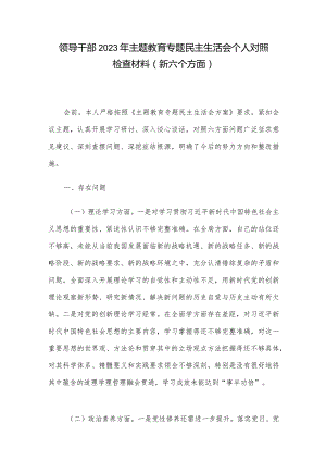 领导干部2023年主题教育专题民主生活会个人对照检查材料（新六个方面）.docx