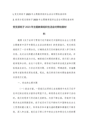 党支部班子2023年主题教育组织生活会对照检查材料范文2篇.docx