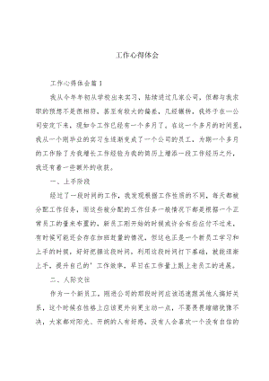 工作心得体会.docx