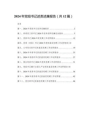 2024年党组书记述责述廉报告（共12篇）.docx