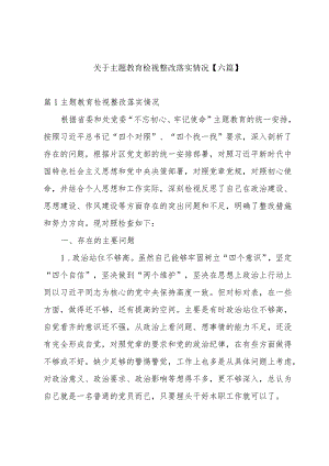 关于主题教育检视整改落实情况【六篇】.docx