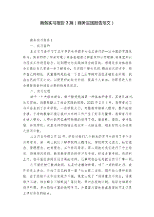 商务实习报告3篇(商务实践报告范文).docx
