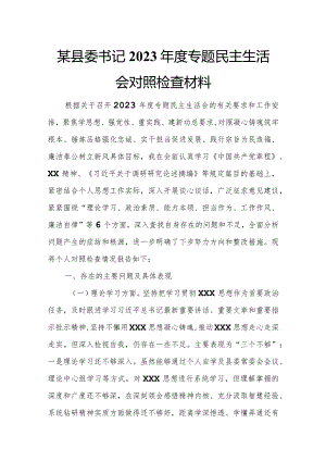 某县委书记2023年度专题民主生活会对照检查材料.docx